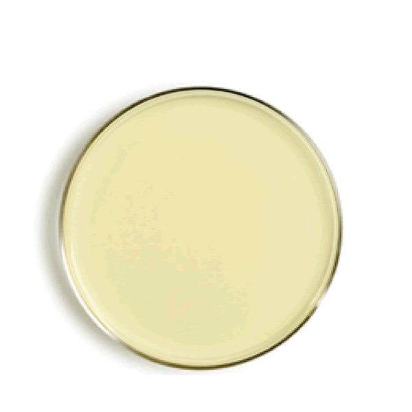 Nutrient Agar-105450.0500